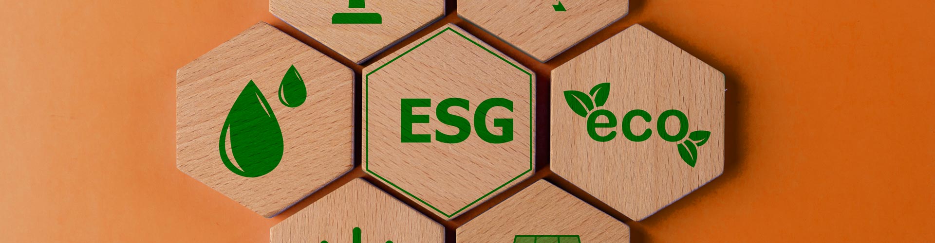 ESG Nachhaltigkeit