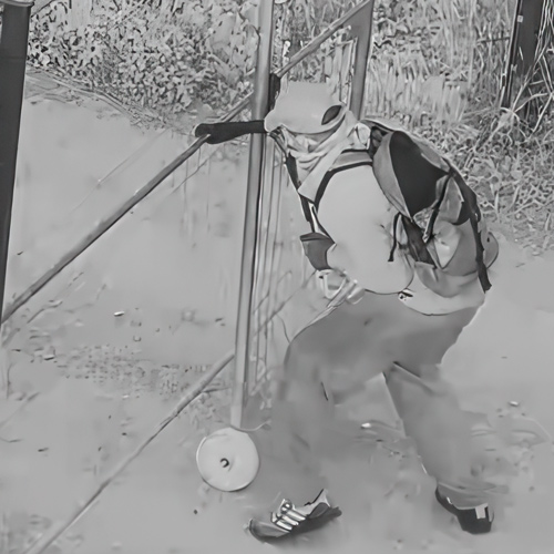 Beweissicherung LivEye