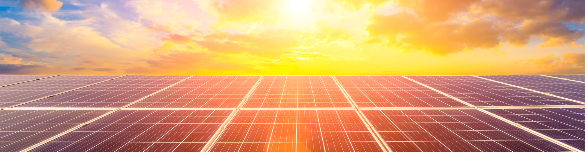 Smart by Day im Solarpark